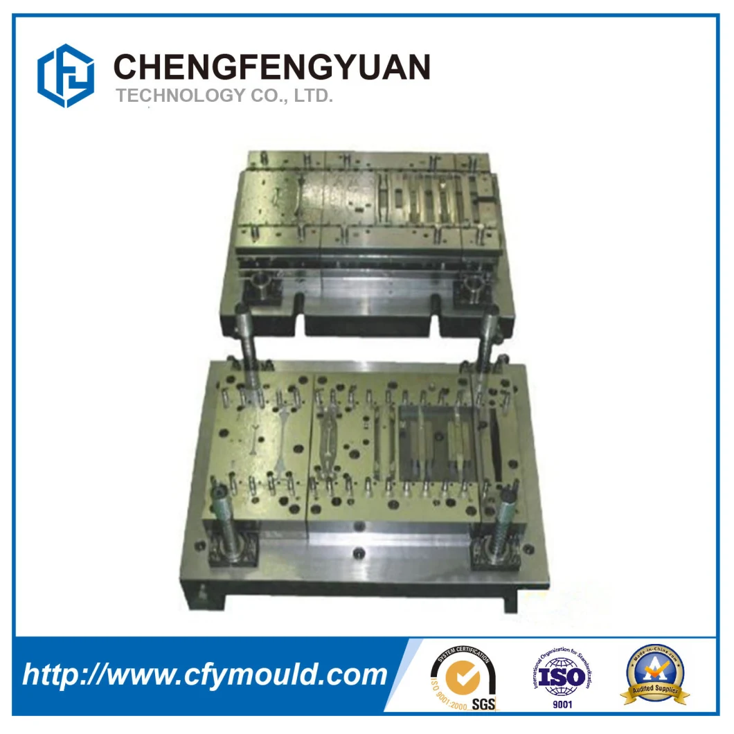 Rapid Prototype/Plastic Injecction Molding/ Moulding/Mold/Mould From China