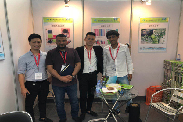 Non Woven Cloth PP Spunbond Nonwoven Fabric for Bags Making China
