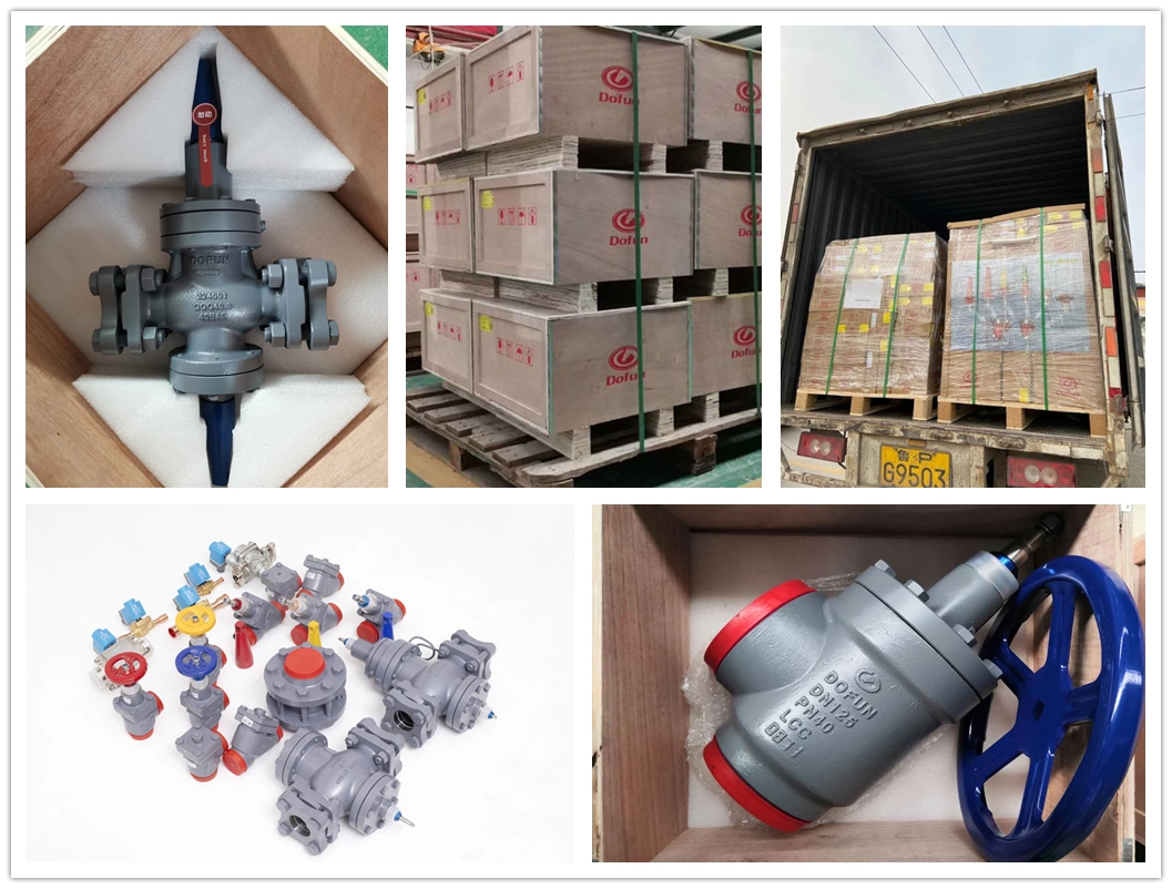 Use for Ammonia System Freon System Cold Storage Ammonia Refrigeration Stop Check Valve
