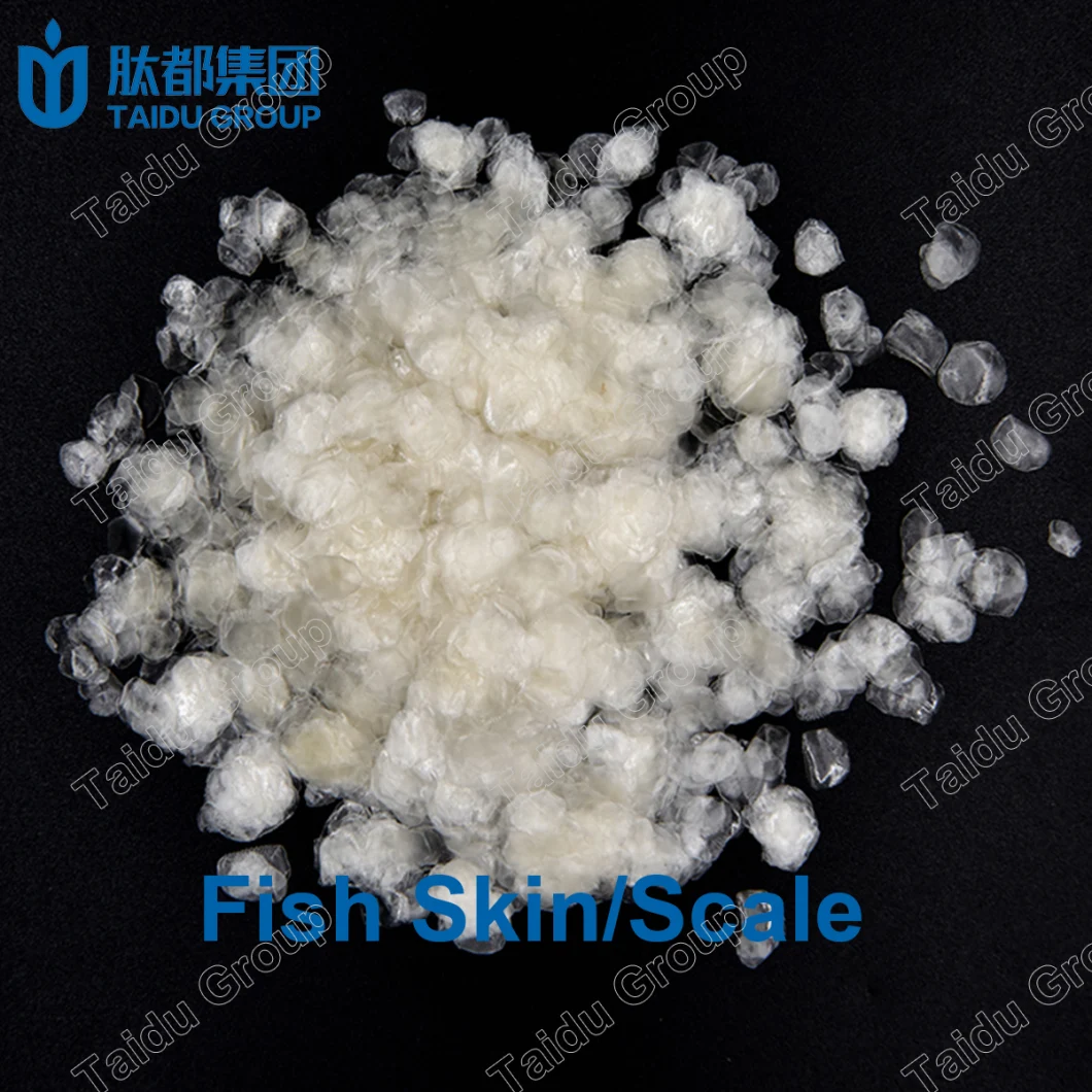 Cod Fish Collagen Protein Peptide Powder Cod Fish Collagen Powder Cod Fish Skin Collagen Powder