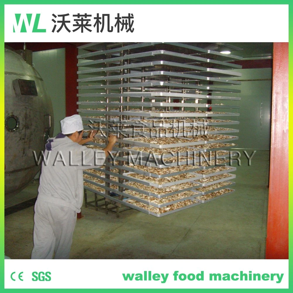 High Quality Graphene Vacuum Freeze Dryer Lyophilizer Machine