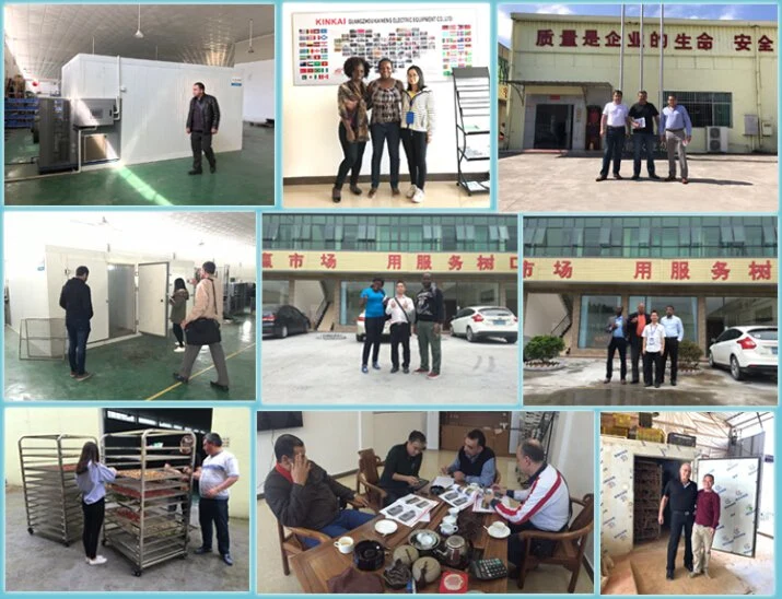 Industrial Drying Machine for Big Capacity Drying Fresh Fruit Vegetable