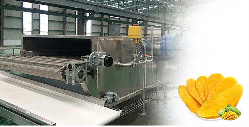 High Quality Vegetable and Fruit Drying Equipment Drying Machine