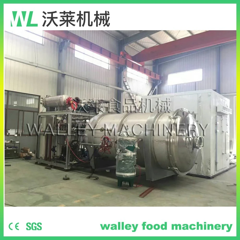 High Quality Vacuum Freeze Drying Machine for Food