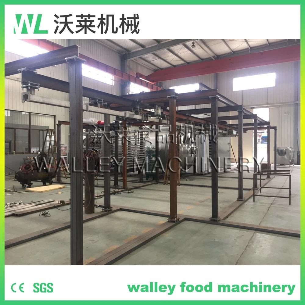 High Quality Vacuum Freeze Drying Machine for Food