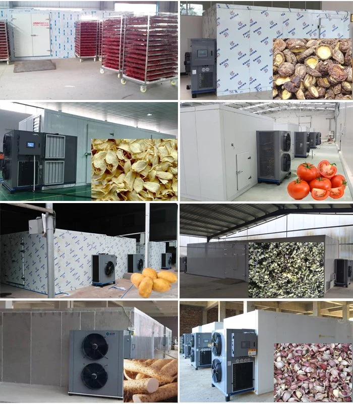 Industrial Drying Machine for Big Capacity Drying Fresh Fruit Vegetable