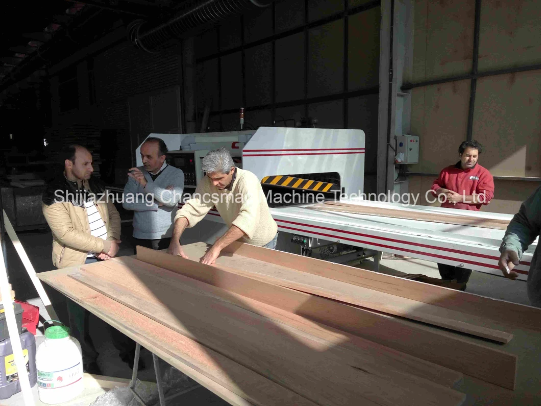 High Frequency Wood Board Joining Press Machine Hfeg-3280c-CH