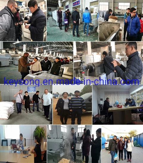 Fresh Fruit Drying Dryer Machine Food Processing Line Drying Machine