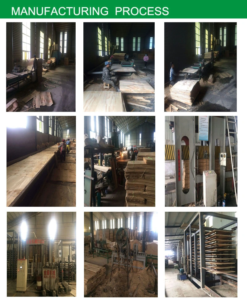 Best Quality Wood/LVL/Lvb/Pine Wood/Timber/Lumber for Sale