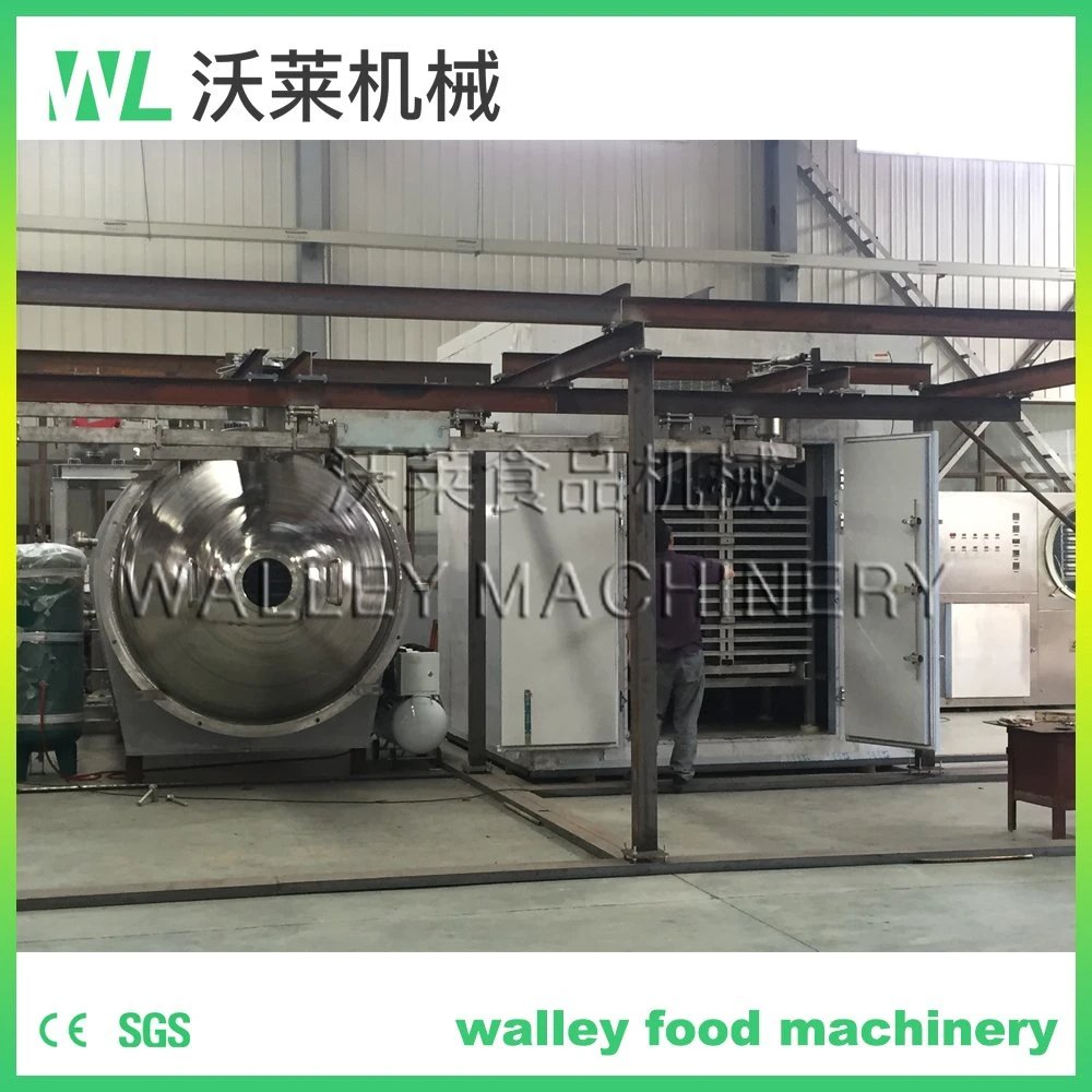 High Quality Vacuum Freeze Drying Machine for Food