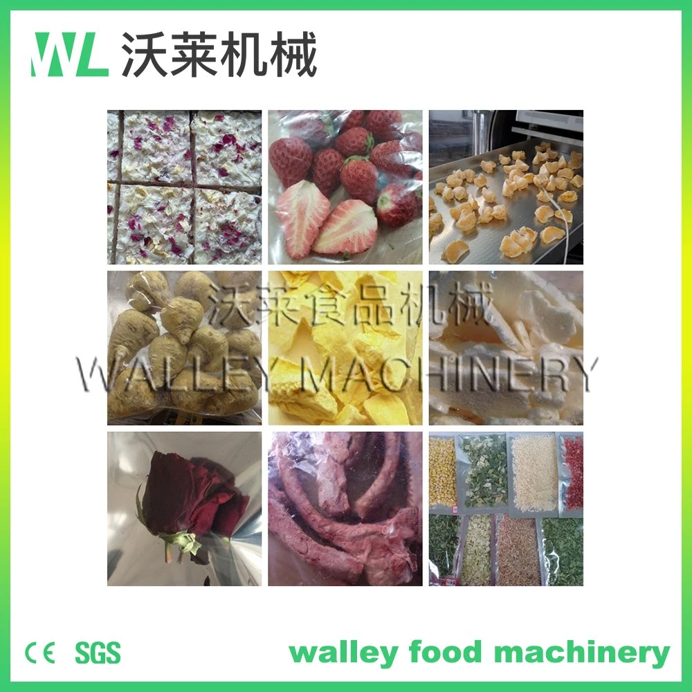 High Quality Graphene Vacuum Freeze Dryer Lyophilizer Machine