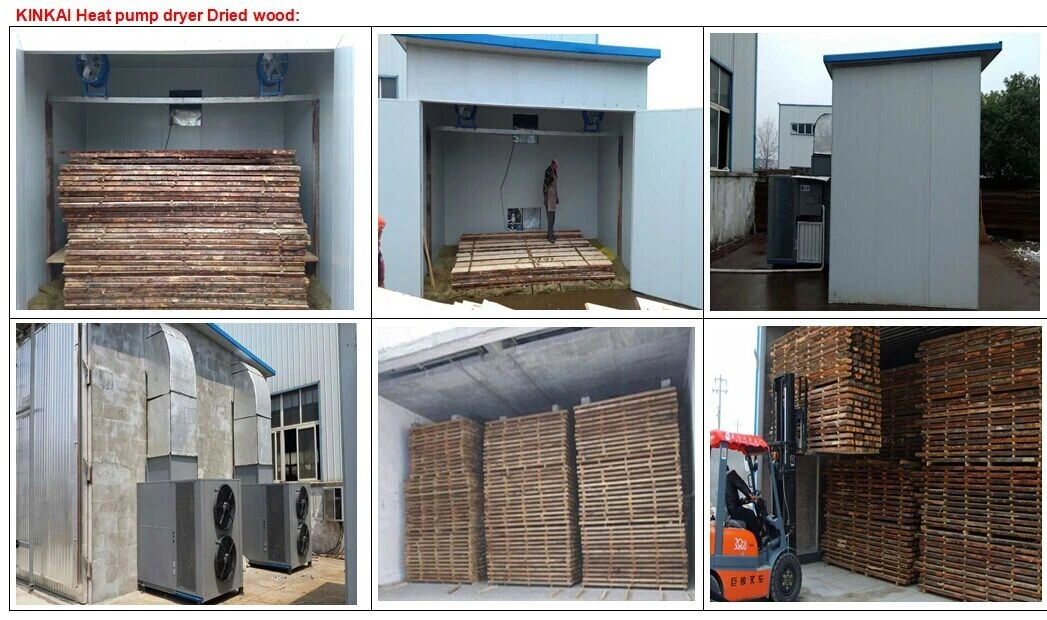 Kinkai Heat Pump Dryer for Wood/ Wood Drying Oven