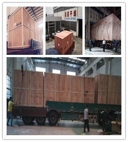 Drying Machine/ Red Chill Drying Machine/ Carrot Drying Machine