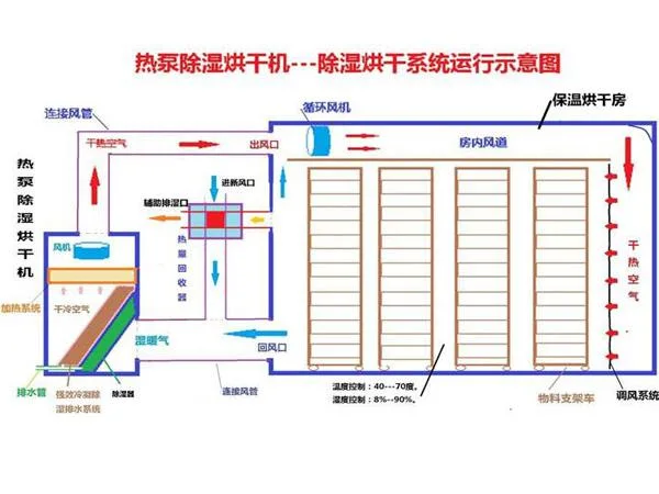 Fruit Vegetable Wash Cut Drying Line