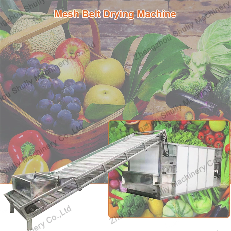 Automatic Continuous Belt Mesh Drying Machine for Food Medicinal Wood