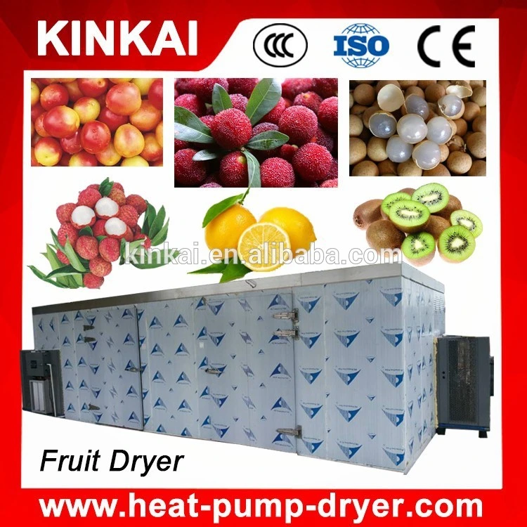 Tomatoes Drying Machine/ Low Cost Lemon Drying Oven/Energy Saving Fruit Dehydrator