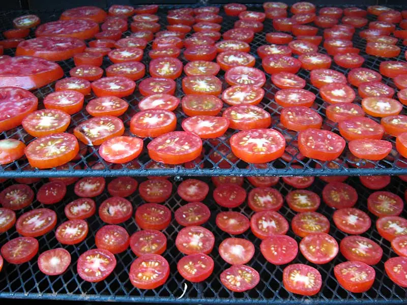 Tomatoes Drying Machine/ Low Cost Lemon Drying Oven/Energy Saving Fruit Dehydrator