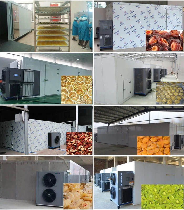 Industrial Drying Machine for Big Capacity Drying Fresh Fruit Vegetable