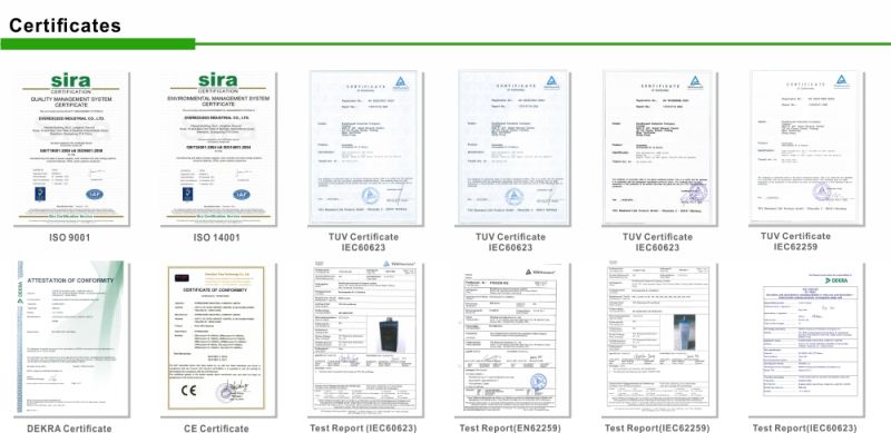 Everexceed Industrial/ Power Plant/ Utility/ UPS/ Power Substation/Solar Power 1.2V 1100ah NiCd Rechargeable Alkaline Battery
