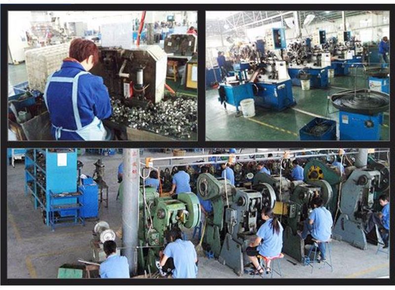German Type American Type British Type and Robust Iron Steel or Stainless Steel Hose Clamp