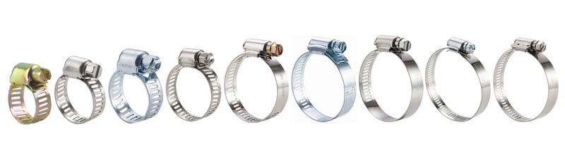 German Type American Type British Type and Robust Iron Steel or Stainless Steel Hose Clamp