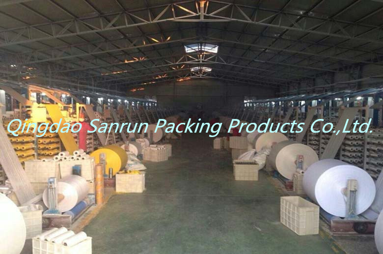 Container Bag/FIBC Bag/Jumbo Bag/Bulk Big Bag