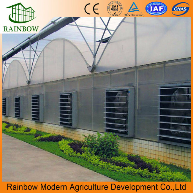 Dairy Exhaust Fan Cattle Shed Ventilation Greenhouse Fan