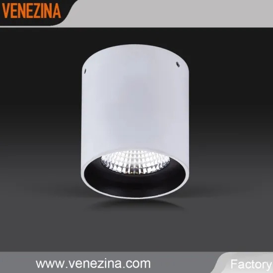 Ceiling Surface Mounted LED Lamp COB LED Down Light C6045-15W/20W