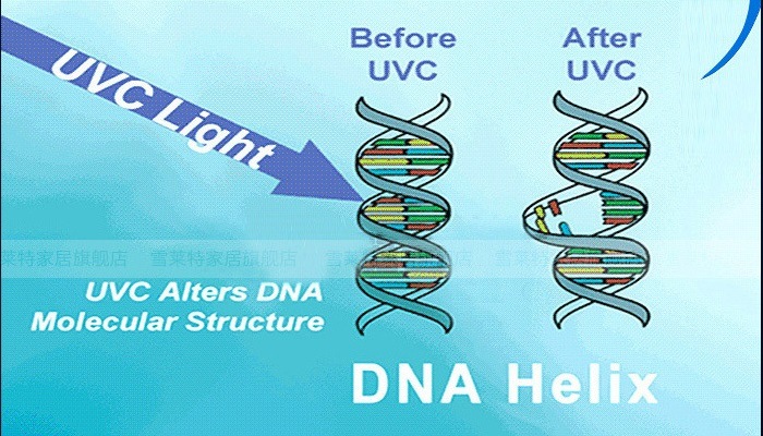 Hospital UV Lamp Trolley UV Sterilizer 55W 100W UV Germicidal Lamp