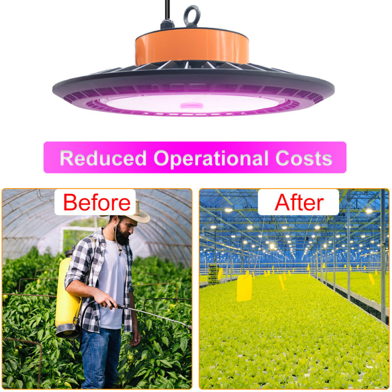 Hot Selling LED Grow Lights for Plants Indoor with Best Quality