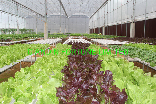 Hydroponics Nft System with Holes Kits Vertical Hydroponic Growing Systems PVC Tube Plant Vegetable