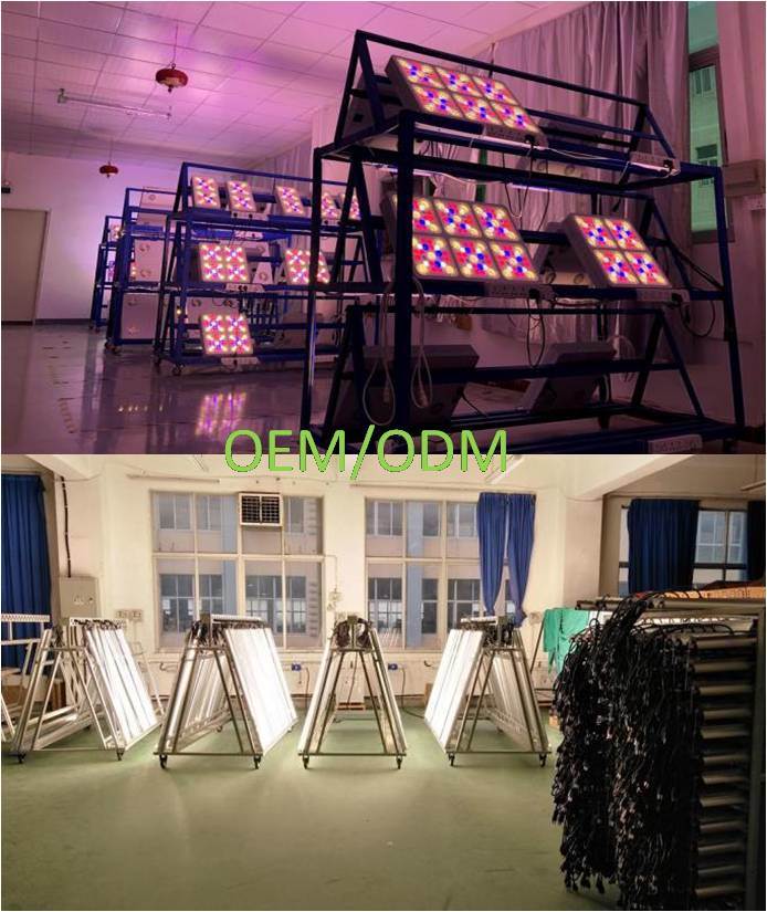 Full Spectrum C600 600W COB Hydroponic LED Grow Light SMD3030