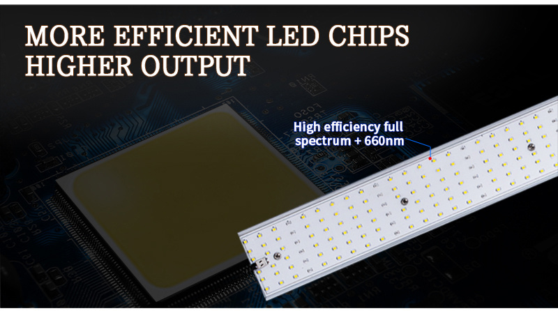 1000W Miedical 3X3 Cool White USB Full De HPS Spectrum LED Grow Light ETL Quantum Board