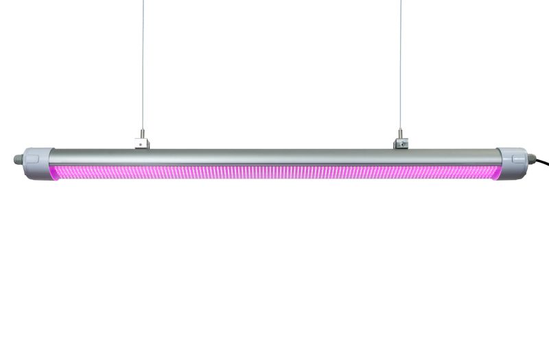 China Distributor 160lm/W Competitive Pink Spectrum 150W &#160; Best LED Grow Light High Efficacy Grow Lights LED Grow Lights for Growing