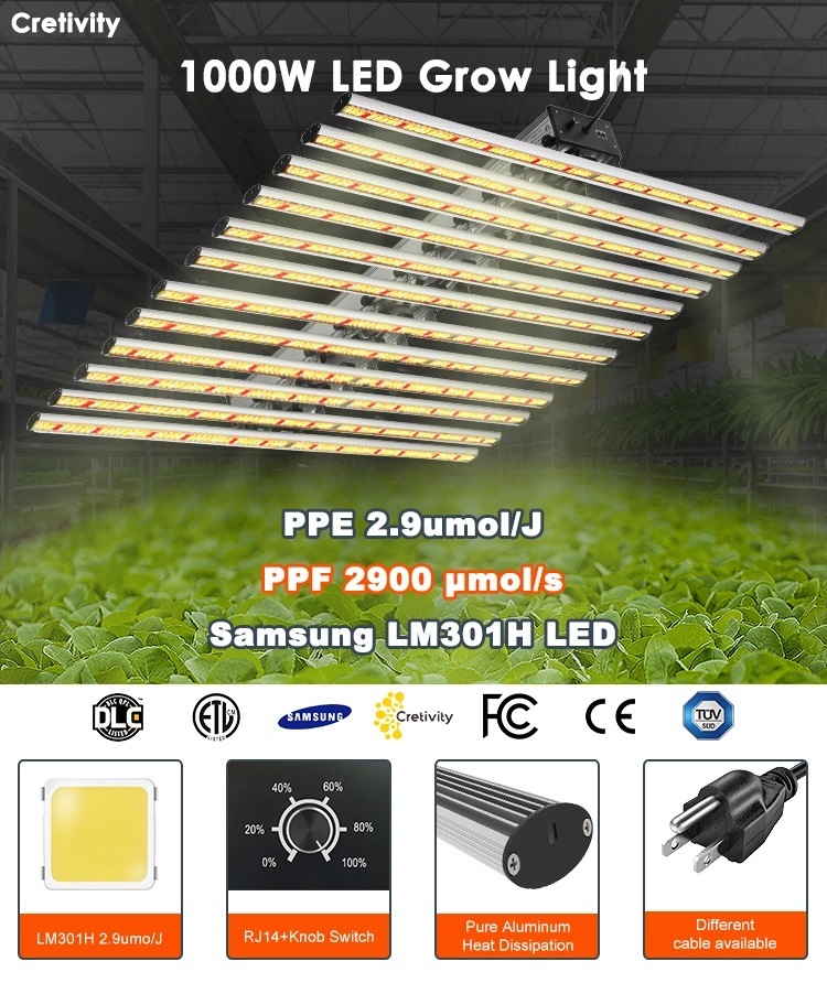 Spydr Plus 1000W LED Grow Light for Racks and Lights Indoor Growing