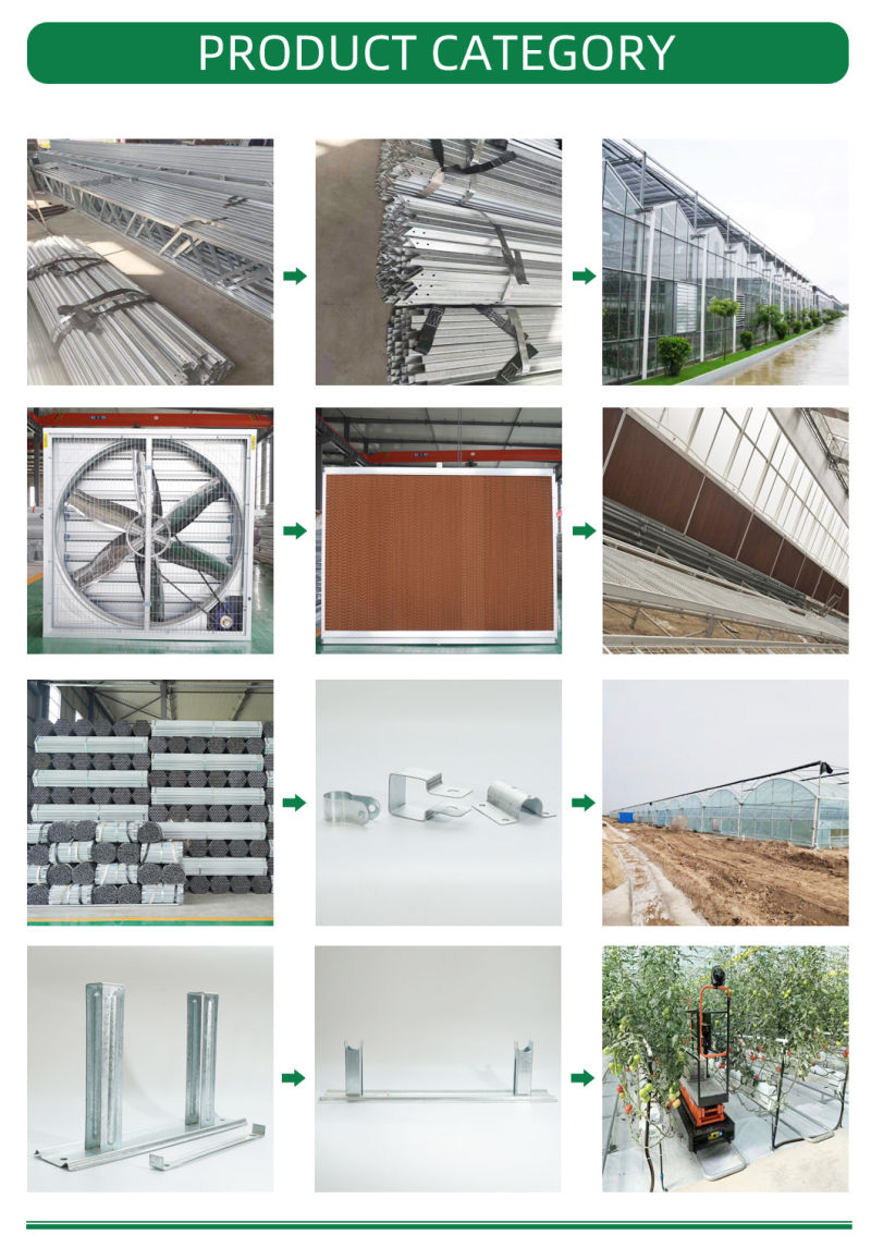 Multi-Span Film Greenhouse with Hydroponics Growing Soilless Cultivation System