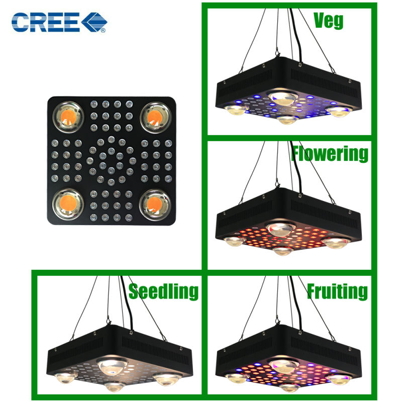 Full Spectrum Cxb3070 1000W LED Plant Grow Lights for Medical Plants