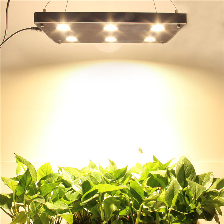 Wholesale Greenhouse Lighting Lumens COB LED Plant Grow Light for Indoor Growth Full Spectrum