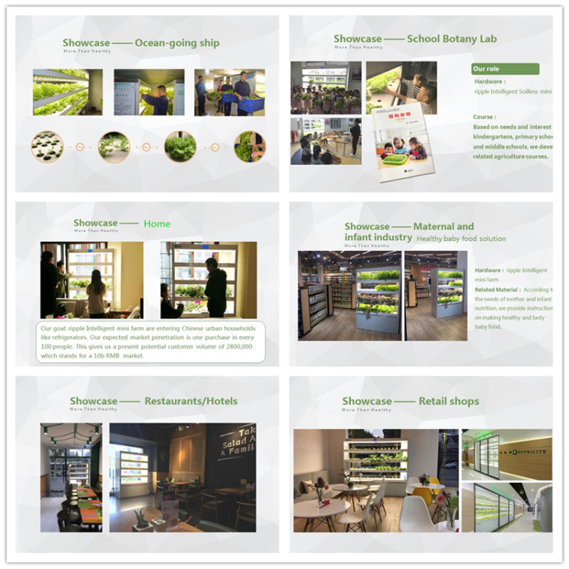 Hydroponic Growing Systems Indoor Farming Hydroponic Cultivation