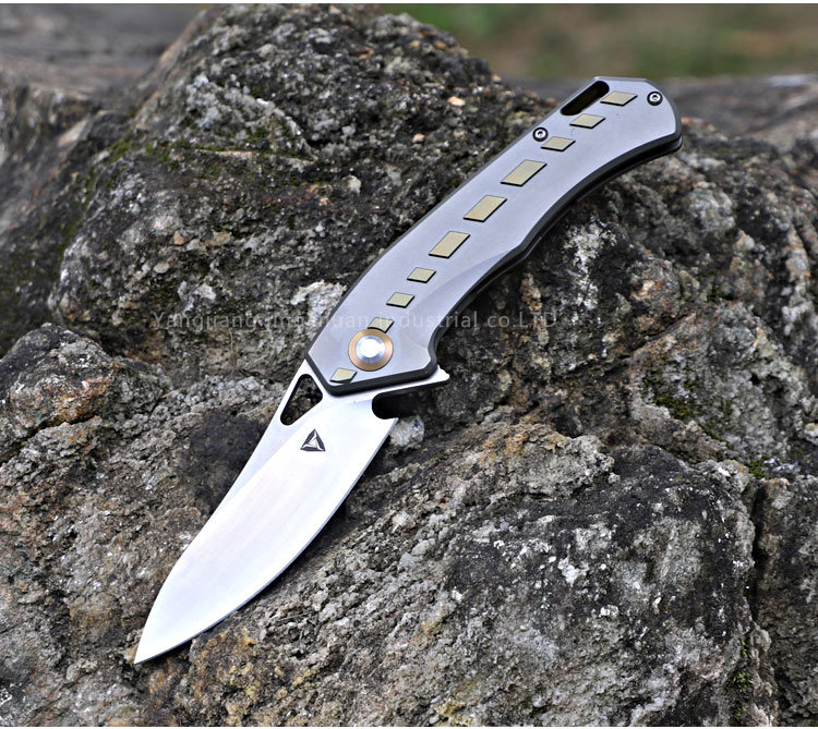 Titanium Handle S35vn Blade Outdoor Folding Knife