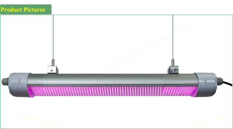 China Wholesale Distributor 150W IP65 LED Grow Light, LED Tri Proof Light, LED Tube Lighting, LED Bulbs