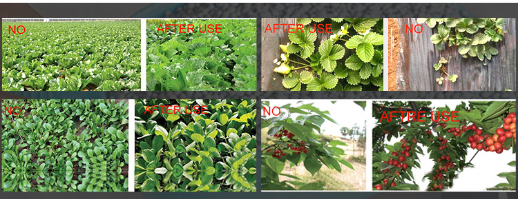 2018 New Arrival Humic Acid Boron Fertilizer Plant Growth Stimulant