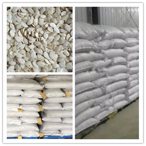 Snow White Pumpkin Seeds for Exporting