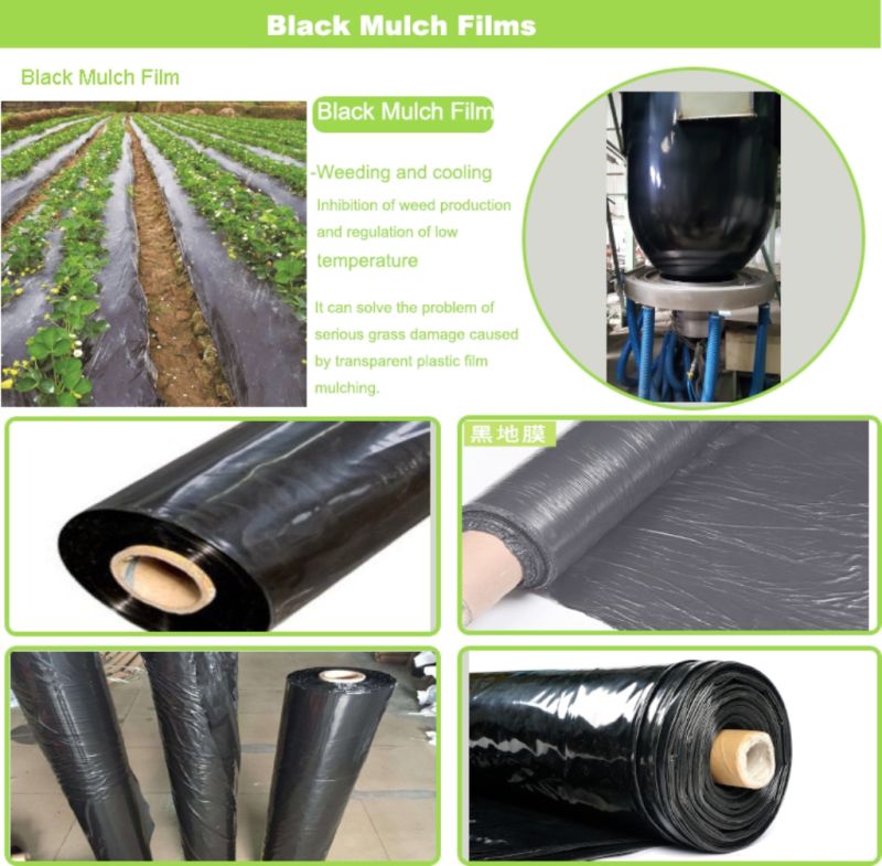 UV Treated Anti Weed Black Mulch Film Plastic Sheets for Agricultural Planting