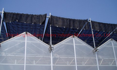 Agriculture Multi Span Polycarbonate Sheet Green House with Hydroponics