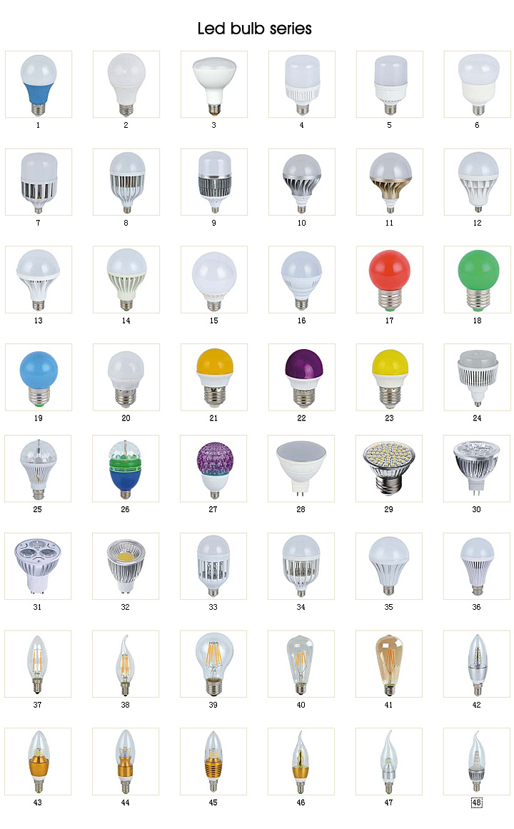 12V DC lantern LED Bulbs LED Light Bulbs with Clips and Wires