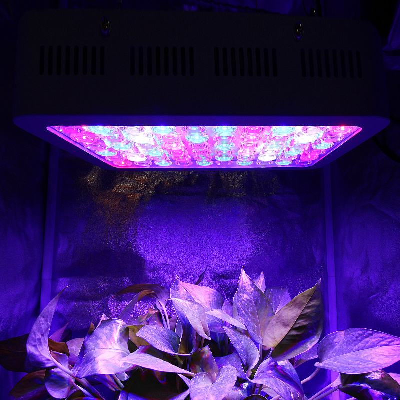 LED Grow Panel 6000W High Power LED Grow Light