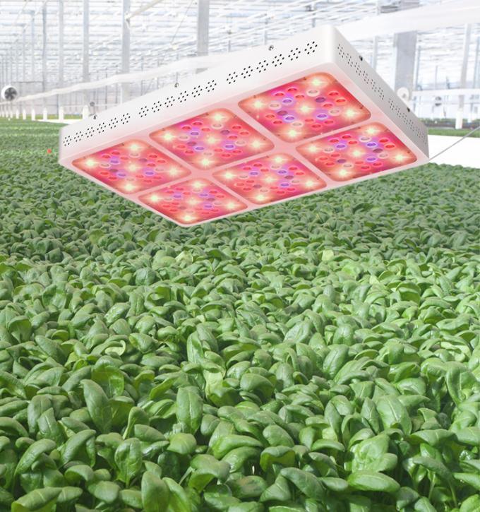 Full Spectrum C600 600W COB Hydroponic LED Grow Light SMD3030