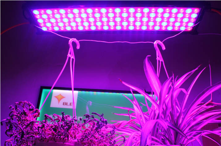 High Power LED Grow Light 800W Full Spectrum Plant Grow Light