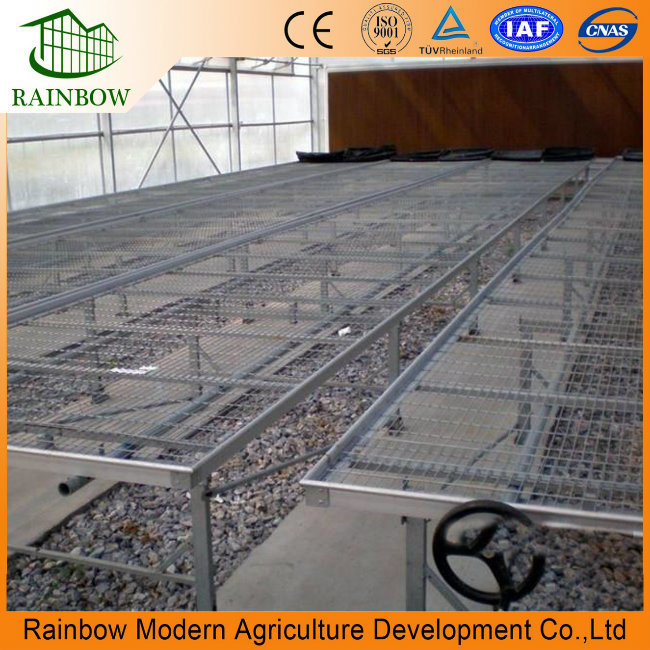 Customized Seedbed Growing System for Glass Tomatoes Greenhouses